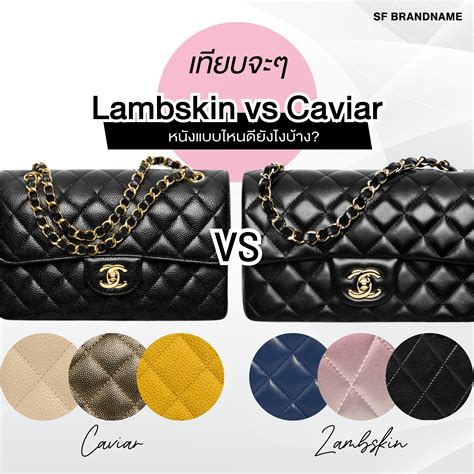 chanel flap caviar vs lambskin|GUIDE TO CHANEL: CAVIAR VS LAM.